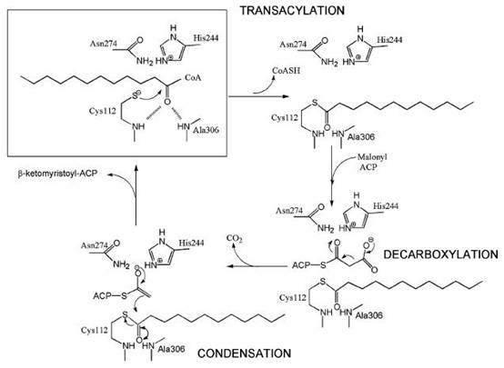 C:\Documents and Settings\fcw\ୱ\sƧ (3)\mechanism.JPG